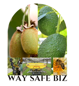 Way Safe Logo